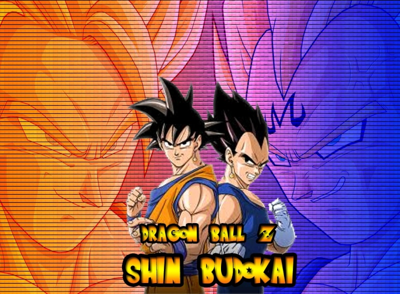 Dragon Ball Z:Shin Budokai Rol