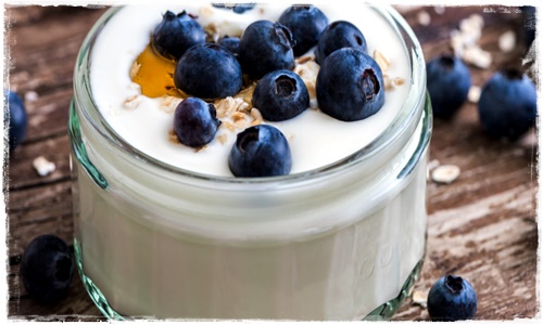 Coppette allo yogurt con mirtilli (anche per diabetici) Yogurt10