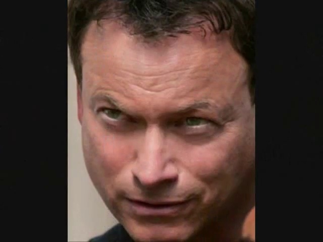 Gary Sinise - Page 11 Vlcsn137