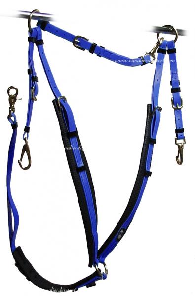 Recherche collier de chasse zilco deluxe  Collie10