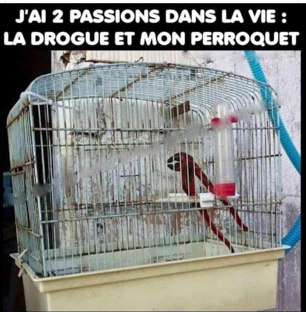 Humour en image du Forum Passion-Harley  ... - Page 27 Img-2055