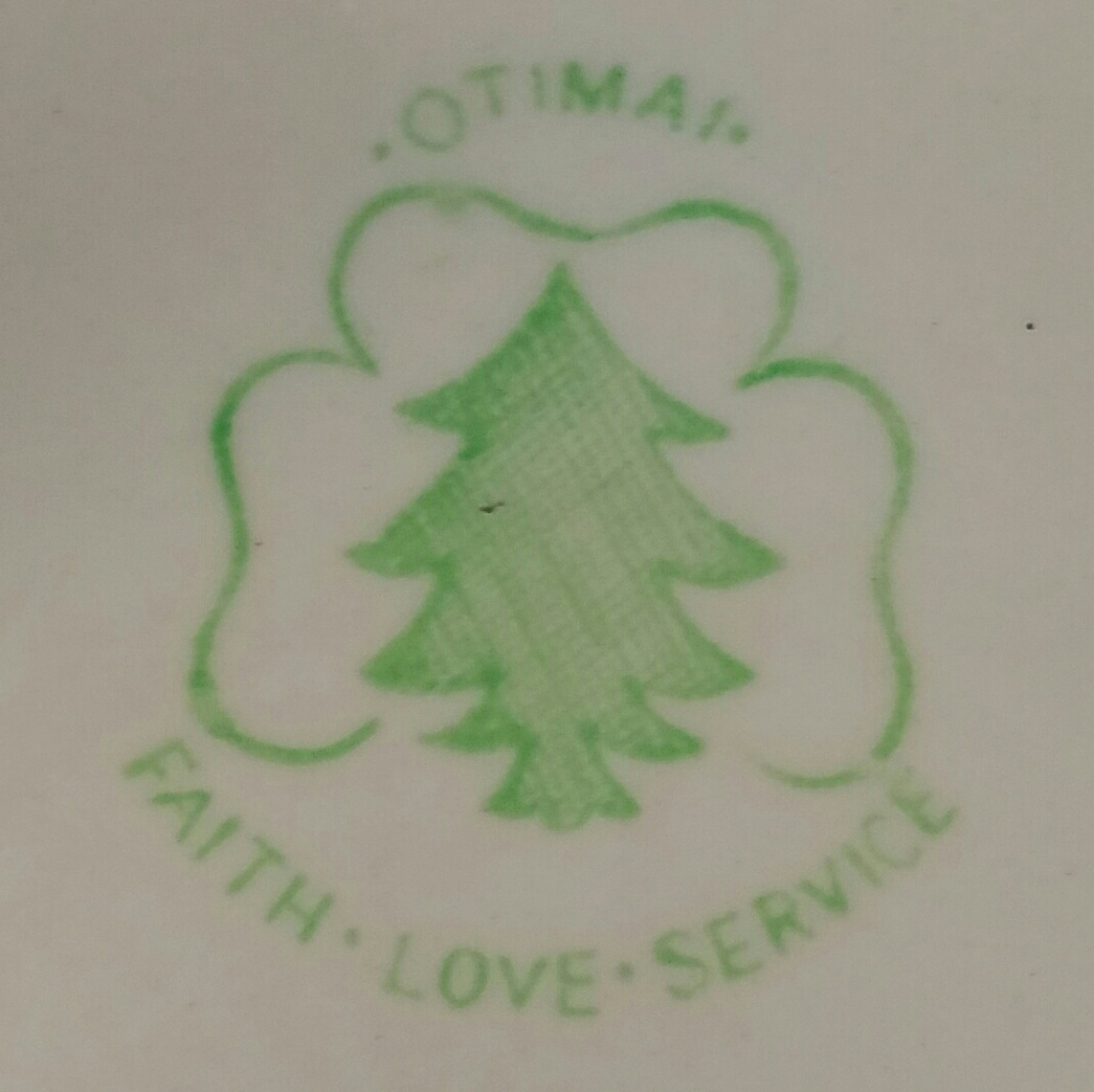 Otimai Girl Guides 20180933