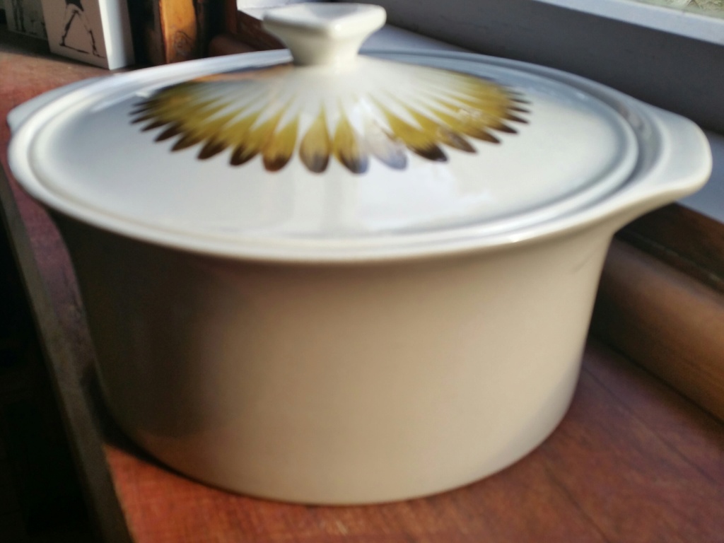 Casserole - is the shape 870 with its lid? 20190616