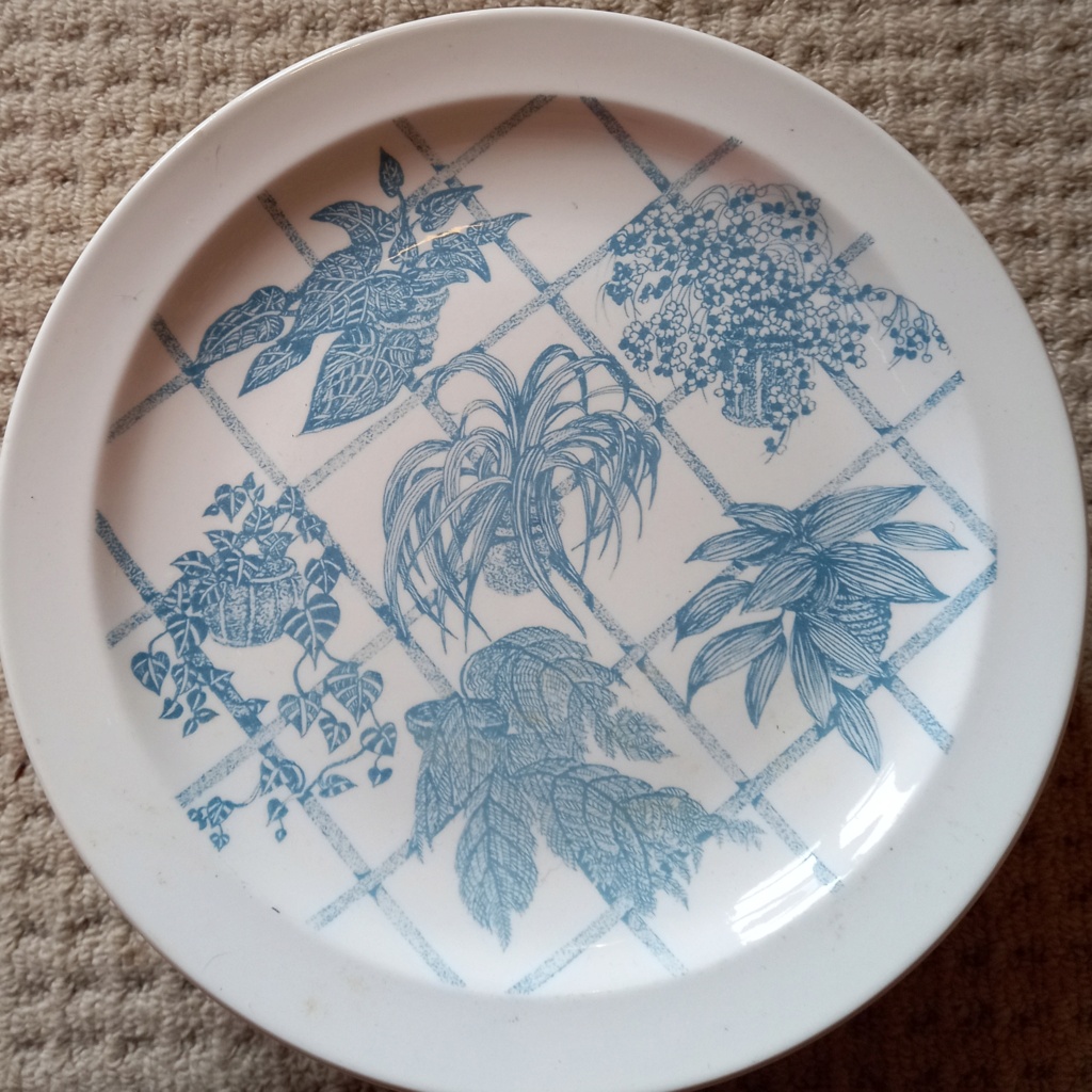 pattern - No Name House Plants pattern plate - Is Hanging Garden d274.  Also Pot Plant d600 20210310