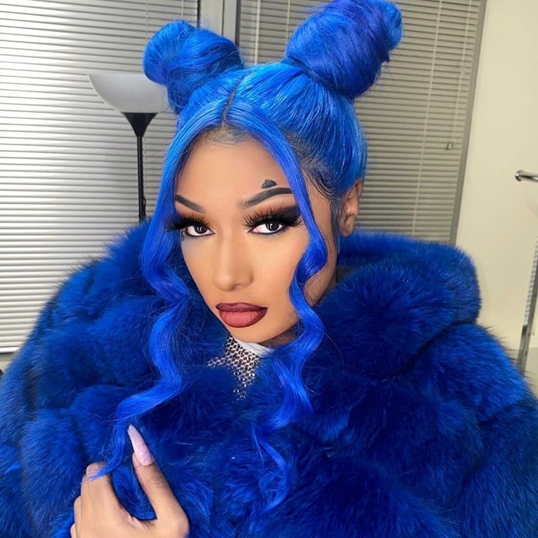 Meghan Thee Stallion Sends Fans Wild With These Pics 12870910