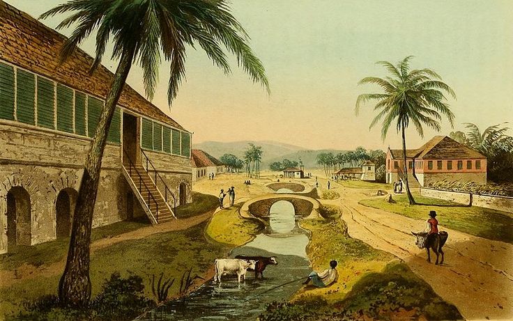 Jamaican Pics 1400 -1800-1900 till present Downl235