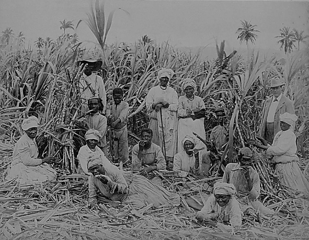 Jamaican Pics 1400 -1800-1900 till present Downl239