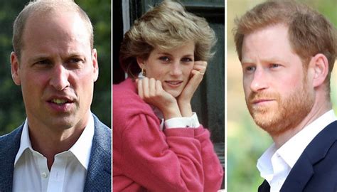 Princes Harry and William unveils Princess Diana's Statue Downlo63