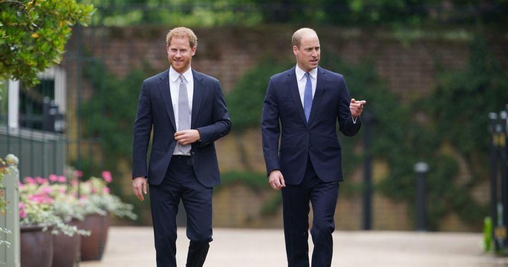 Princes Harry and William unveils Princess Diana's Statue Downlo64