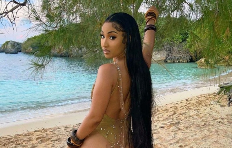 All night last night I discussed Shenseea many looks  with some friends best verdict Shense38