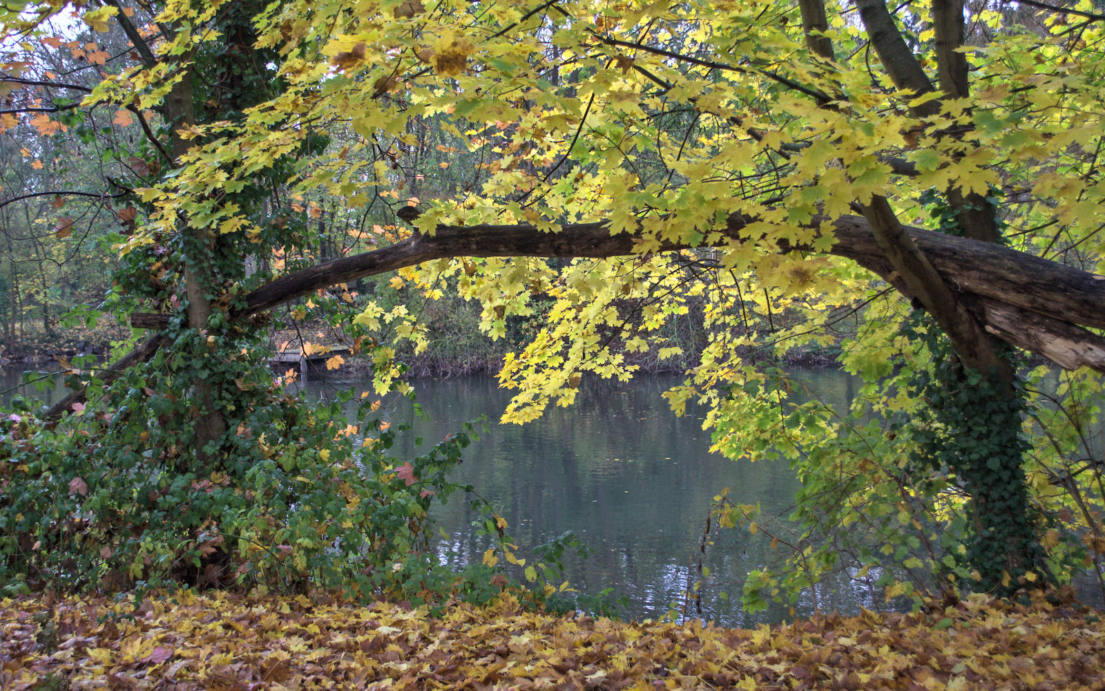 Journée d'automne A2021_60