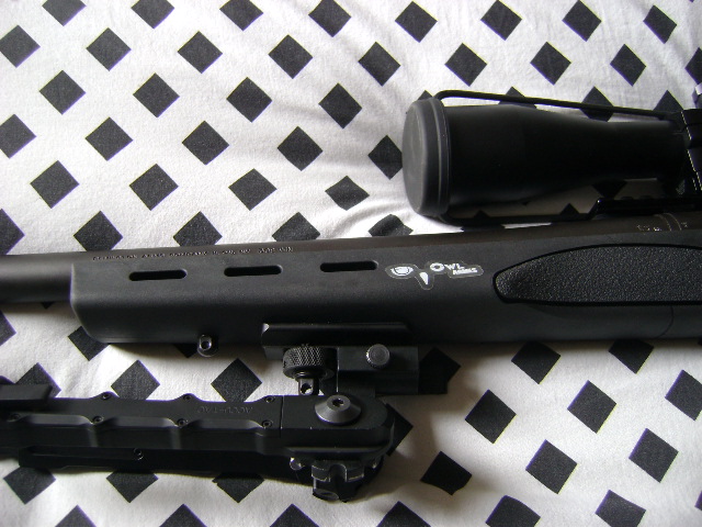 Présentation de la remington 700 SPS pour gaucher la L.H Dsc08646