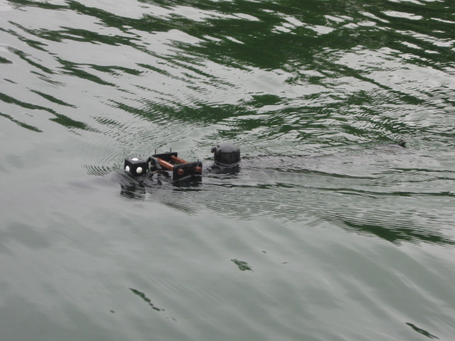 Norwich MBC Submarine, Boating & Sailing Weekend, 2019 Img_5615