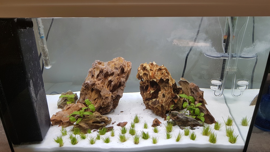 lancement de mon 54 L Jour111