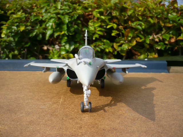 Rafale M au 48e de chez Revell - Page 2 P1150760