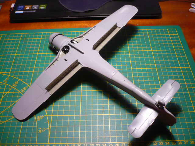 FW 190 D9 Hasegawa 1/32ème P1170892