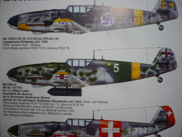 Messerschmitt Bf109G14/AS croate 1/72 P1170895
