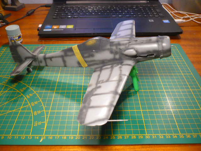 FW 190 D9 Hasegawa 1/32ème P1170911