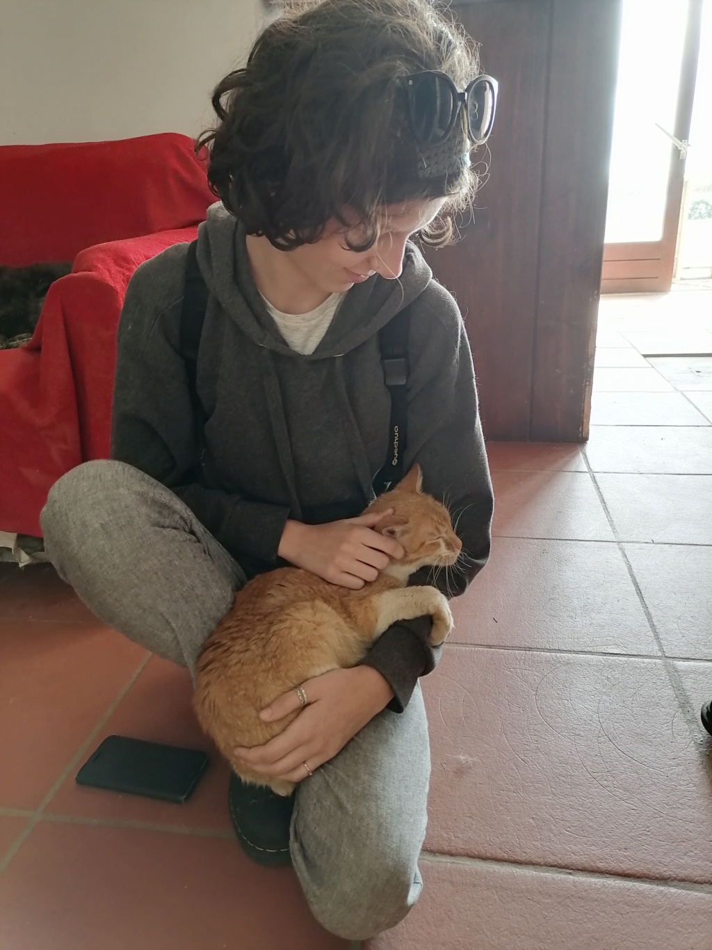 ABRICOT - chat mâle, né environ en mai 2018 - REMEMBER ME LAND - En FA chez Joan (42) - adopté par Emma (42) - DECEDE - Page 2 Img_2101