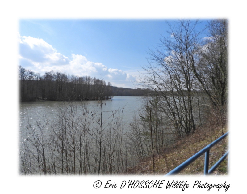 Le Lac du Ry Jaune Nikon_66