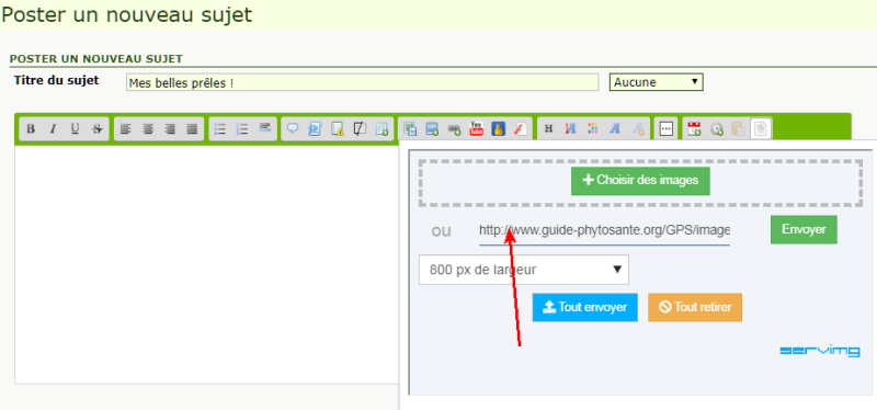 L'ultime tutoriel pour l'envoi de photos dans le forum. 0714