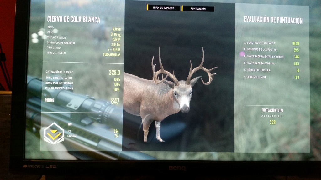 TOP 5 WHITETAIL 20190612