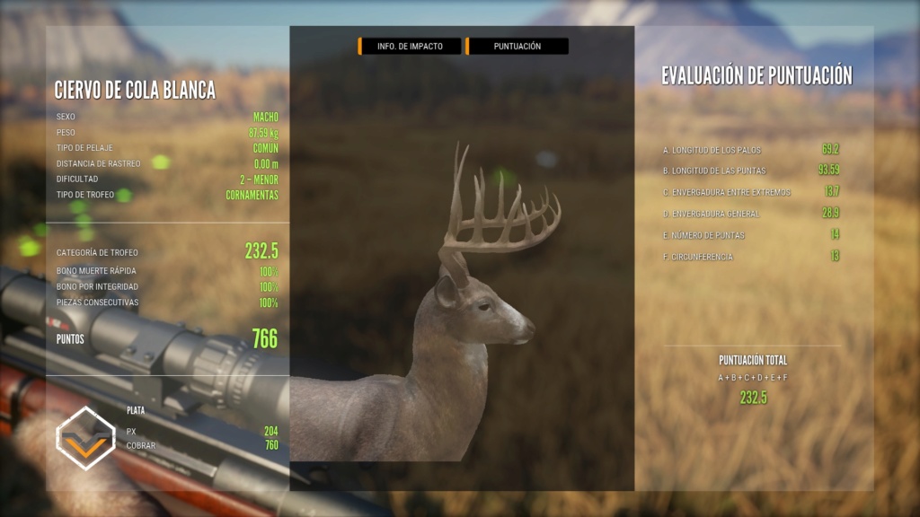 TOP 5 WHITETAIL 20190815