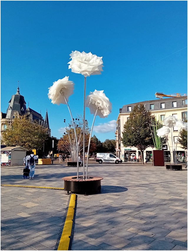 Fleurs de rue. 20230910