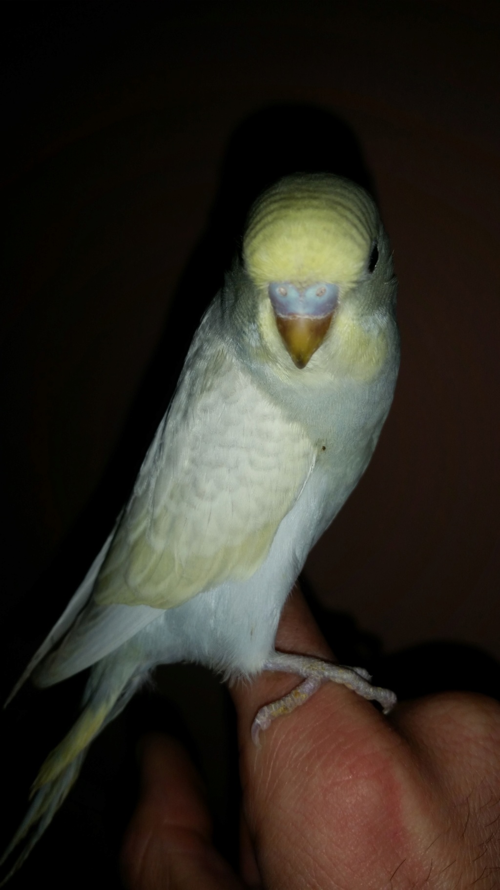 quelle mutation 20191214