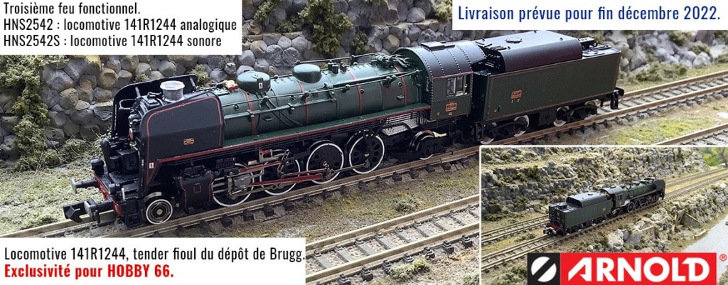 [Arnold] Locomotive à vapeur - 141R - Page 12 141r11