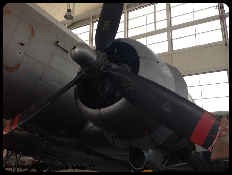 Le musée de l'aéronautique navale - Rochefort (17) Img_0536