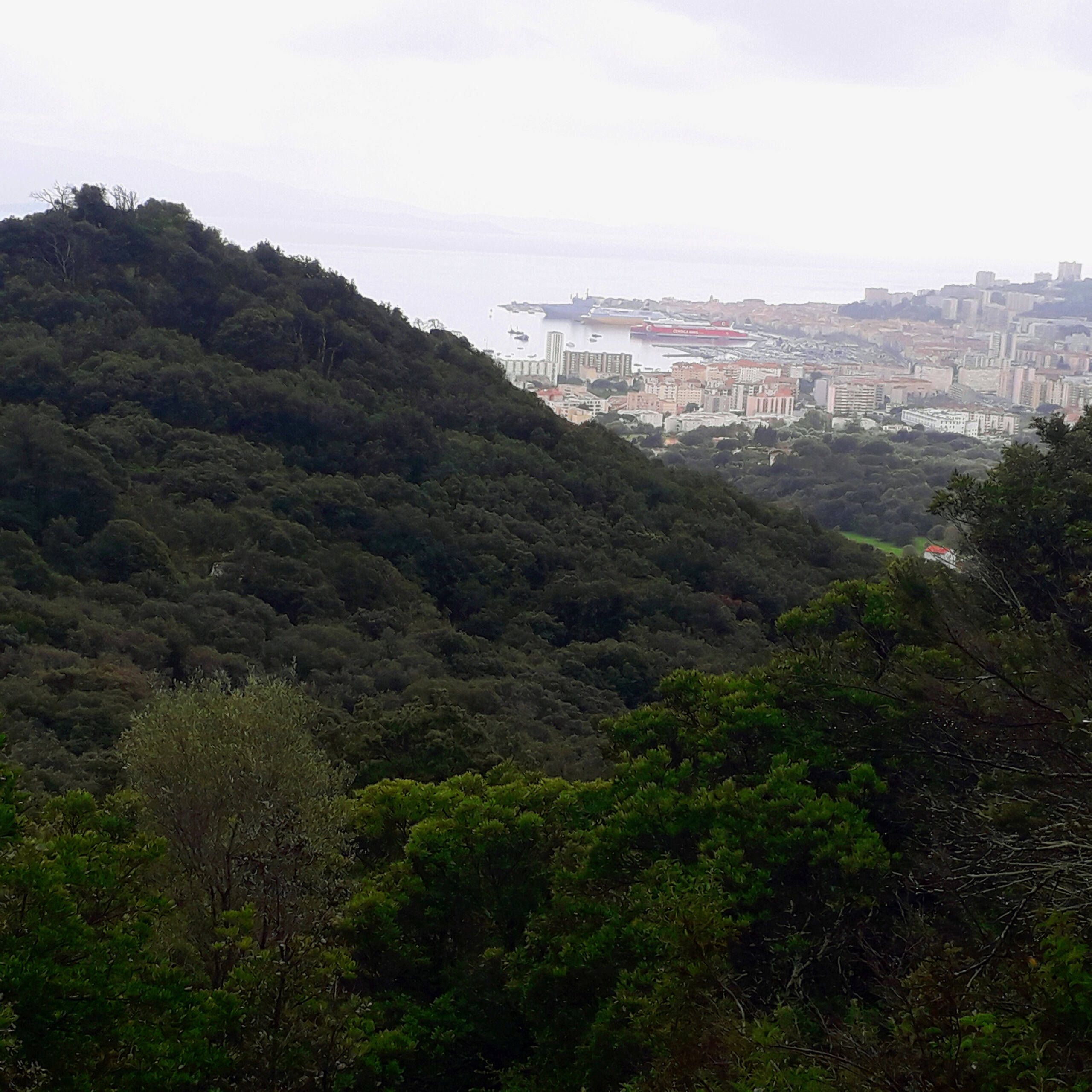 Marche de 8 km dans les hauteurs d' Ajaccio 20240326