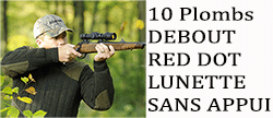 concours "Chasseur Moderne" Fusil Debout Red dot/lunette Sanfcv12