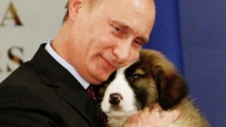 #19 - Main news thread - conflicts, terrorism, crisis from around the globe - Page 18 Putins10