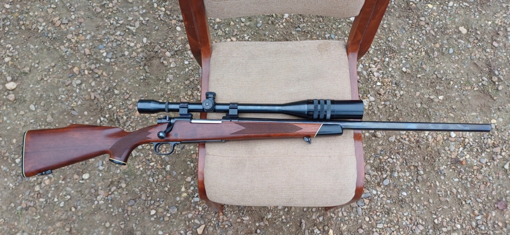 Je ne vous l'avais pas présenté, mon Winchester 70 ? - Page 2 20241115