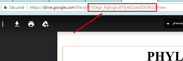أفضل موقع لرفع ملفاتك ومشاركتها مع كيفية التحميل Google Drive Screen14