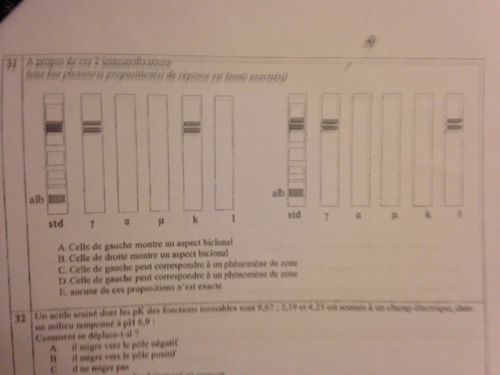 2010-2011 question 31 Img_2910