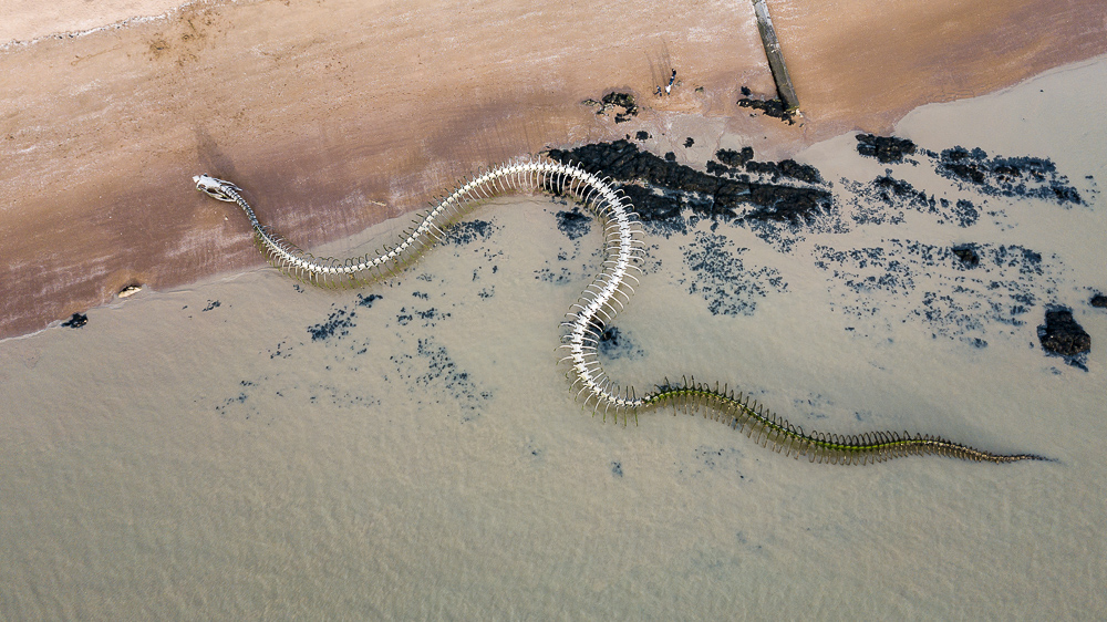 Le serpent de Saint Brévin Les Pins 17042016