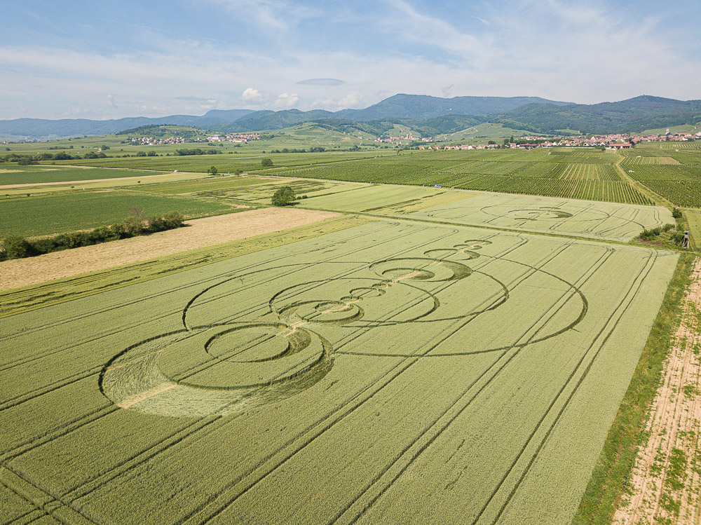 E.T. est venu se poser au pied du Haut Koenigsbourg 18062012