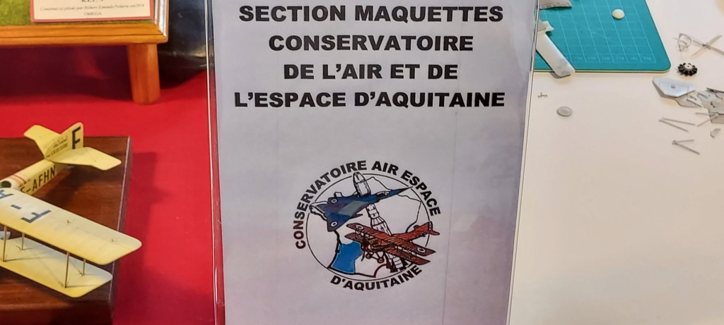 BRON (69 RHÔNE) Compte rendu de l expo du 1er et 2 avril 2023 ... 20230148
