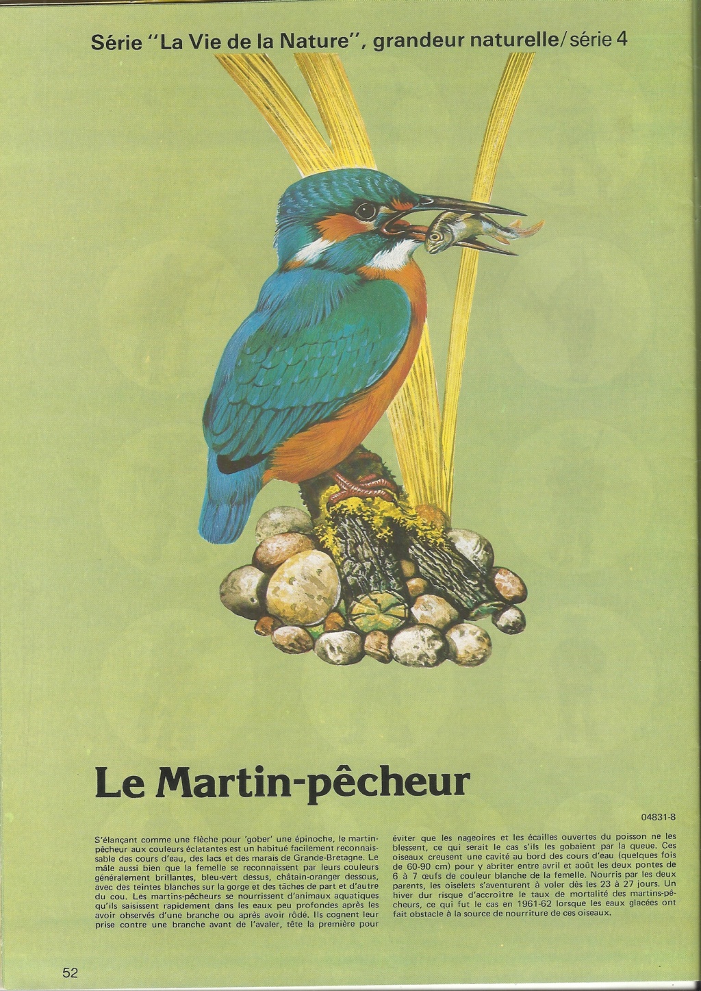 [AIRFIX 1980] Catalogue 1980 17ème édition  Airf3025