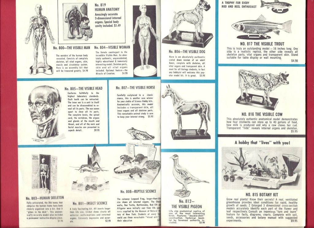 [RENWAL 1965] Catalogue 1965  Renwal11