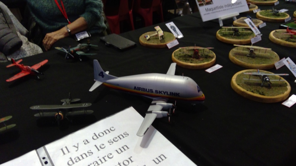 BRON (69 RHÔNE) Compte rendu de l expo des 28 février et 1er Mars 2020 ... Win_2467