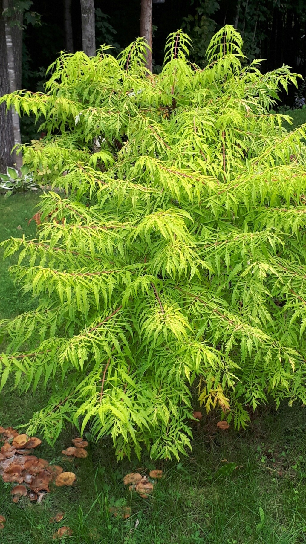 L'automne chez Marimandoline 20220937