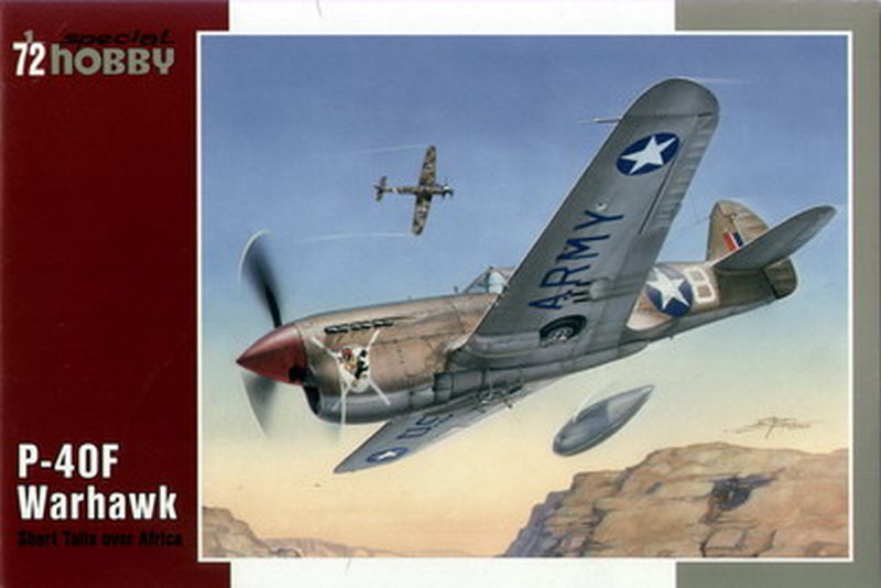 [Special Hobby] Curtiss P40F du Groupe La Fayette --- F I N I --- 1253_r10