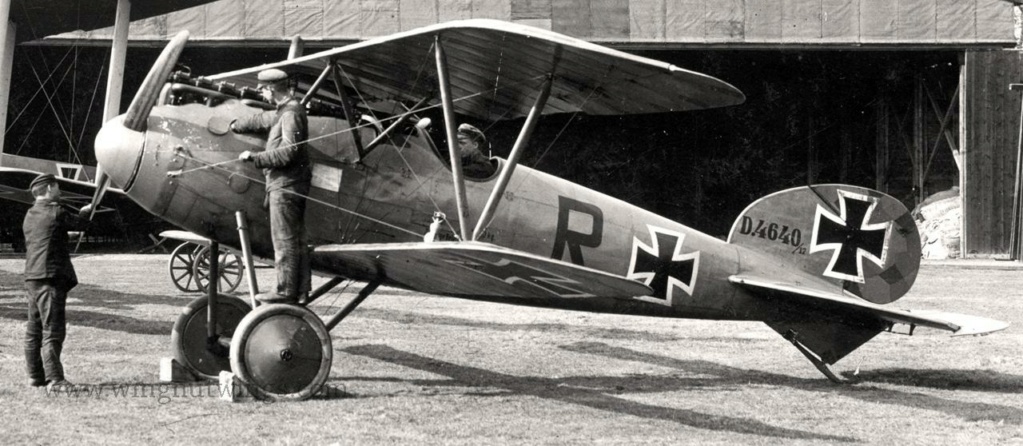 [Eduard] Albatros D.V Lt Max Ritter von Müller - Jasta 28  ----- F I N I ----- Albatr11
