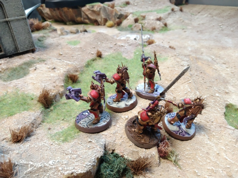 Age of Sigmar Img_2224