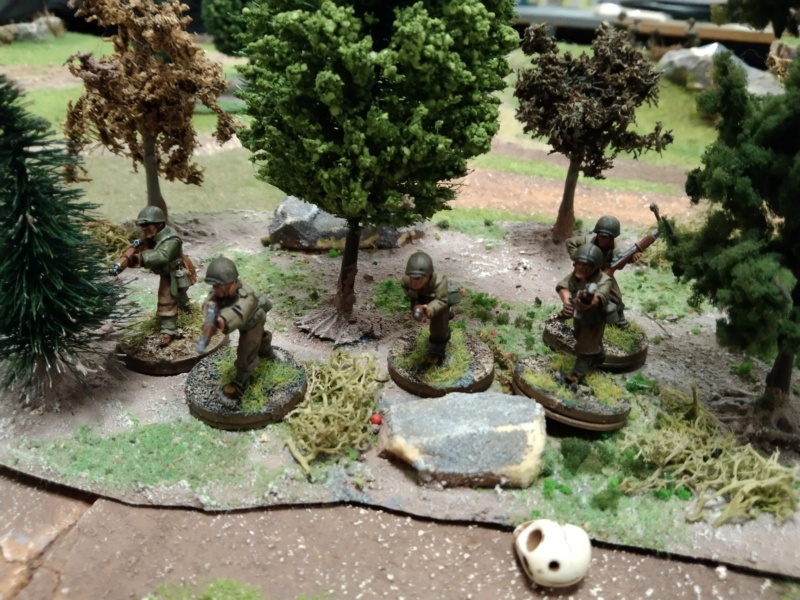 Bolt Action Reloaded ! - Page 3 Img_2770
