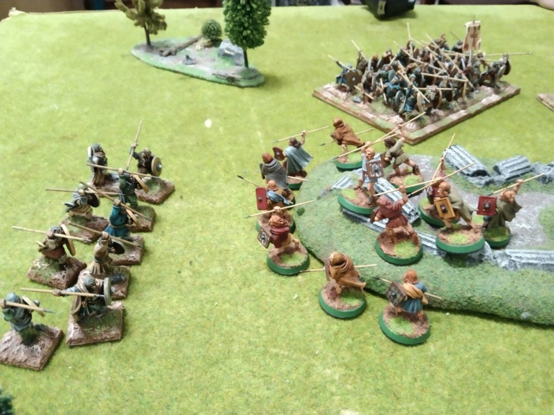 Galerie Warhammer Ancients Battles Dark Age - Page 3 Img_3783