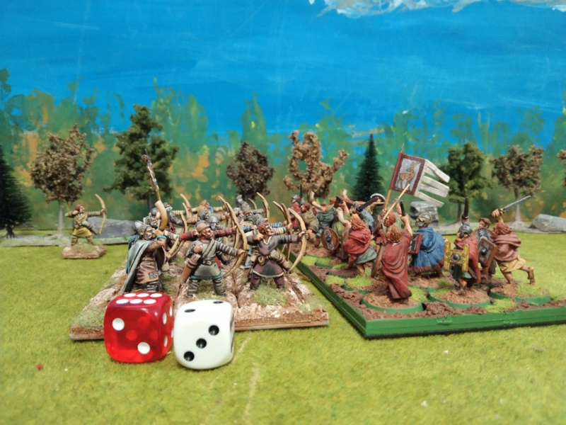 Galerie Warhammer Ancients Battles Dark Age - Page 3 Img_3785